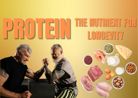 WHY PROTEIN IS CRUCIAL AS WE AGE