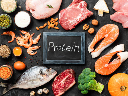 The Benefits of Adding Protein to Your Meals